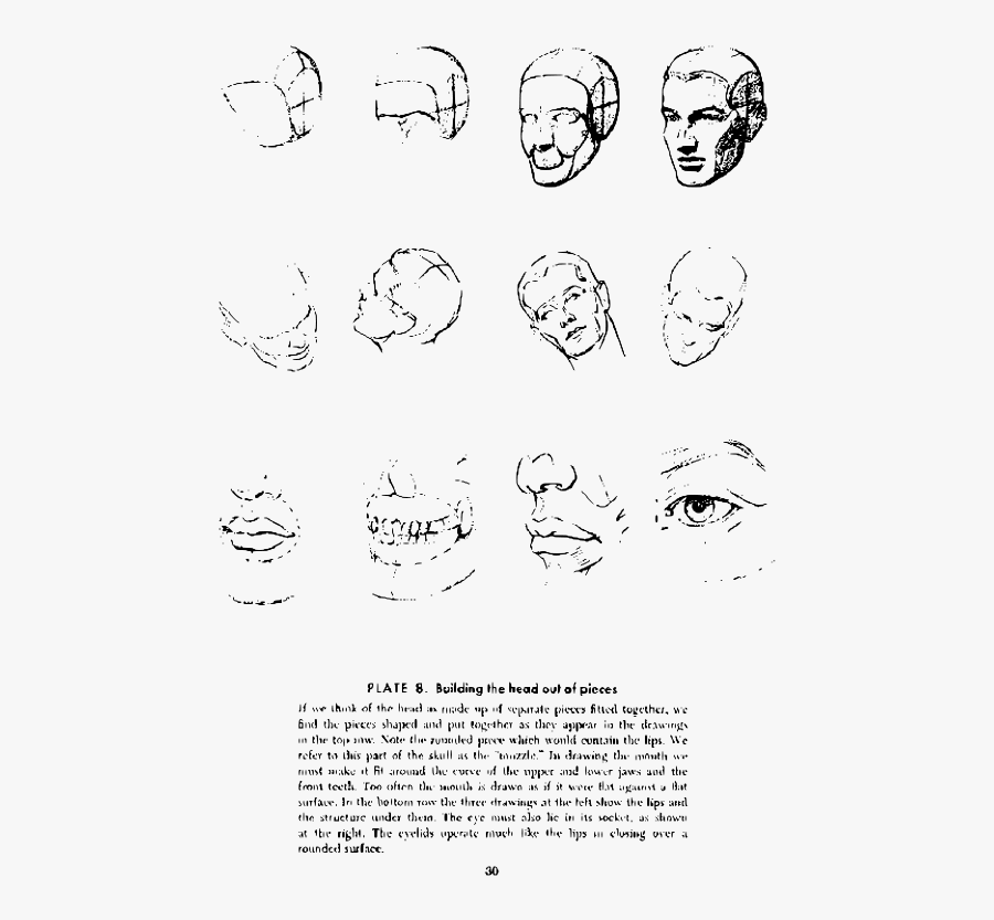 Andrew Loomis Drawing The Head And Hands - Drawing, Transparent Clipart