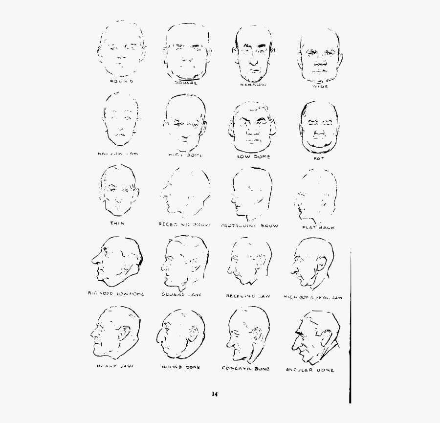 Hd Andrew Loomis Drawing The Head And Hands - Sketch, Transparent Clipart