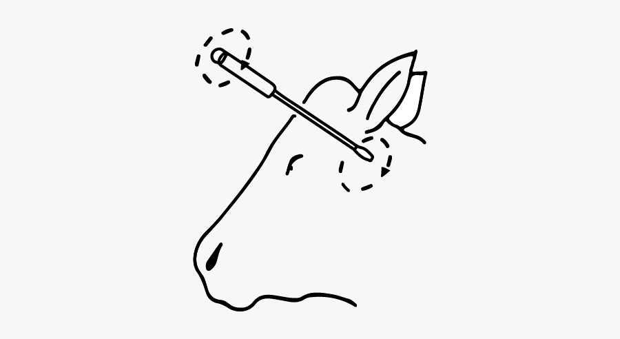 Cow Skull Clip Art, Transparent Clipart