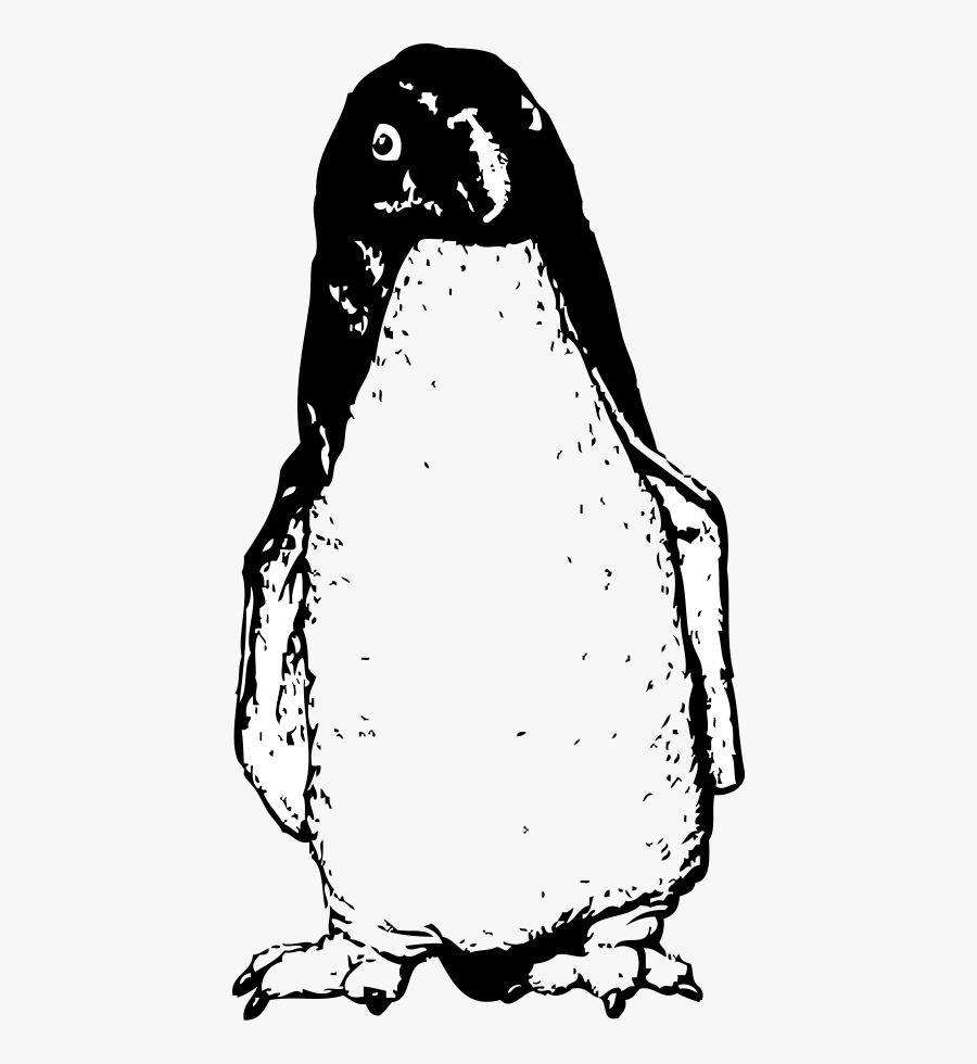 Penguin, Transparent Clipart