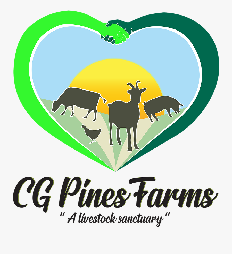 Cg Pines Farm - Illustration, Transparent Clipart