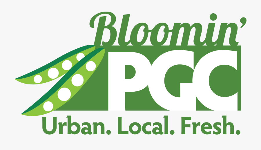 Poster, Transparent Clipart