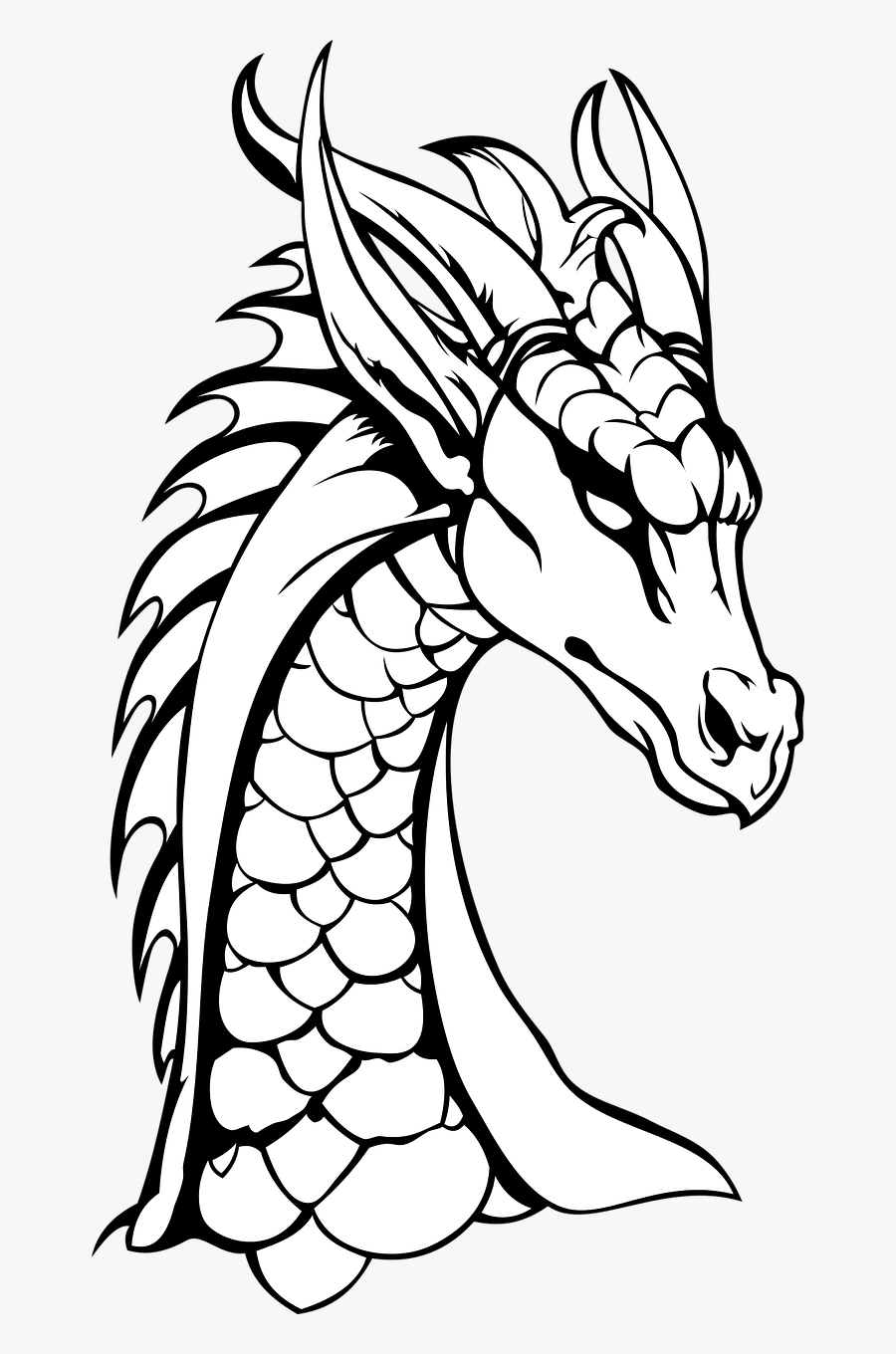 Dragon Neck The Head Of The Free Picture - Dragons Black And White, Transparent Clipart