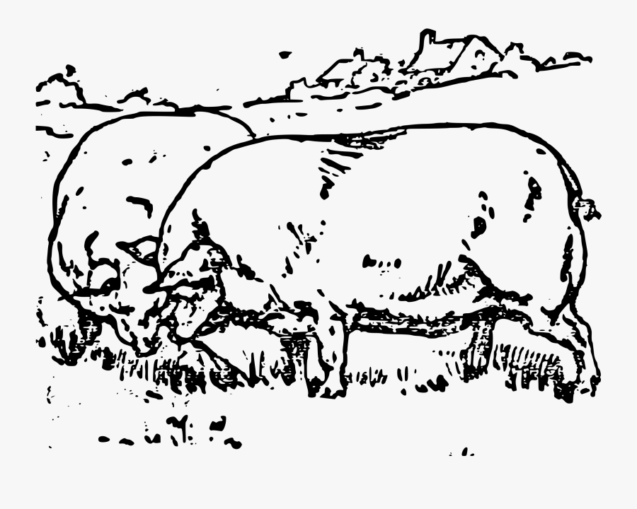 Pigs Clip Arts - Illustration, Transparent Clipart