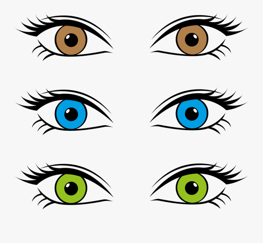 Eye Color Retina Iris - Blue Eyes Brown Eyes Cartoon, Transparent Clipart