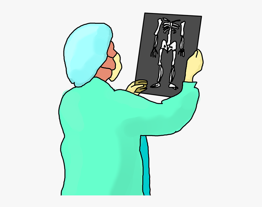 X-ray, Xray, Radiology, Scan, Radiological, Skeleton - X-ray, Transparent Clipart