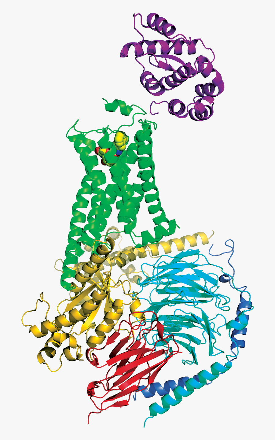 Gpcr G Protein Complex, Transparent Clipart