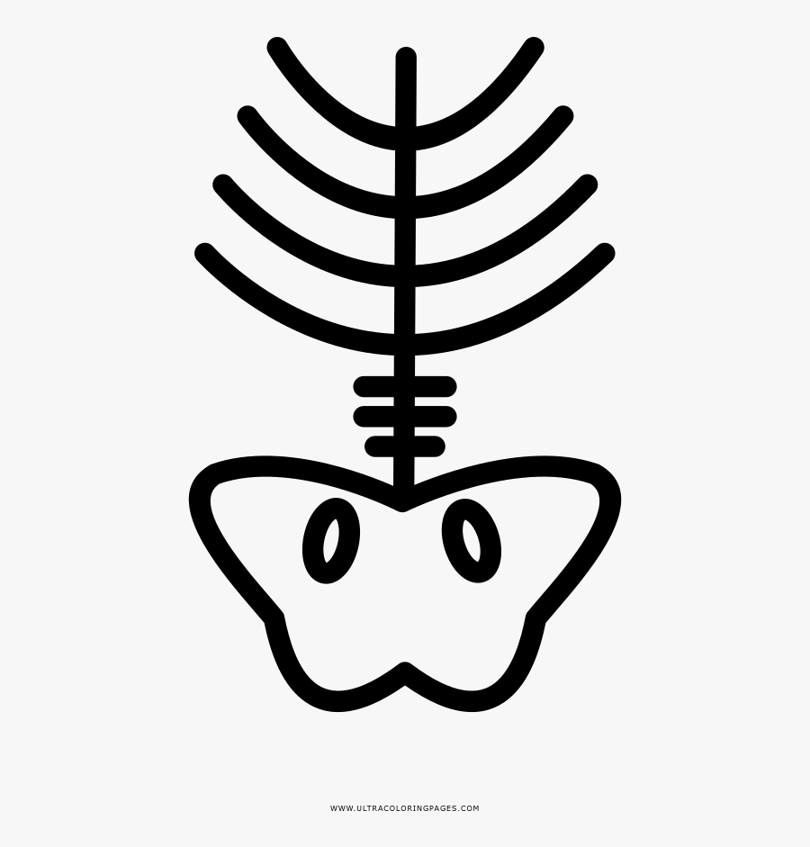 Xray Coloring Page - Icone Raio X, Transparent Clipart