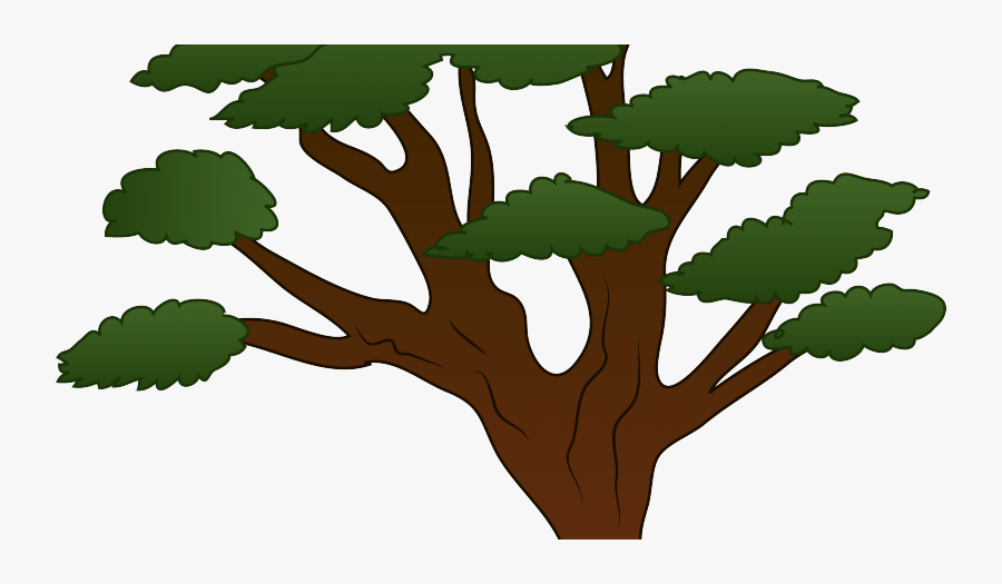 Cartoon Tree Clip Art Web Clipart Clipartingcom - Big Branches Tree Clipart, Transparent Clipart