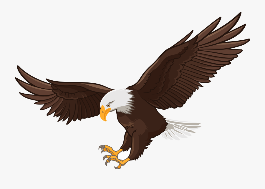 Eagle Best Web Clipart Transparent Png - Bald Eagle Flying Drawing, Transparent Clipart