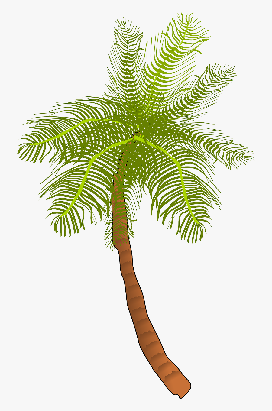 Coconut Tree Clip Art, Transparent Clipart