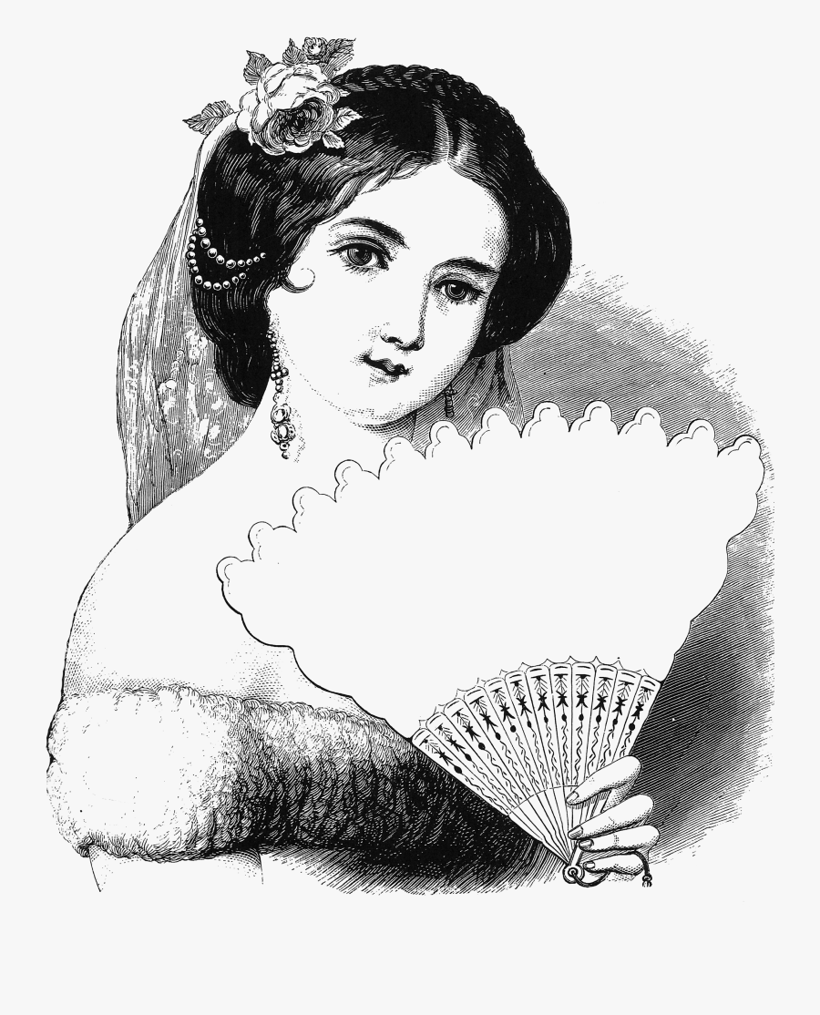 Sketch, Transparent Clipart