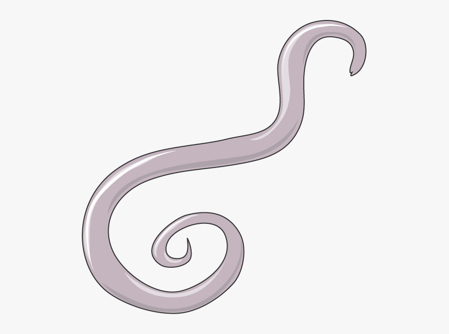 Spiral, Transparent Clipart