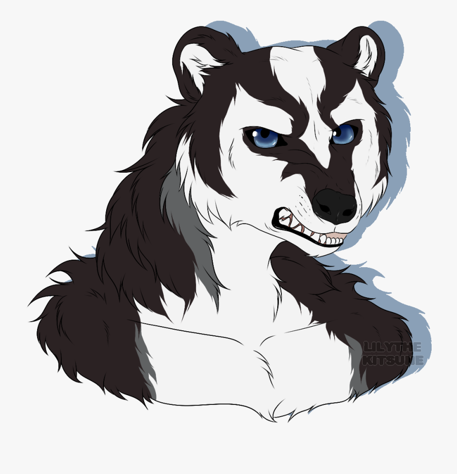Badger Bust - Illustration, Transparent Clipart