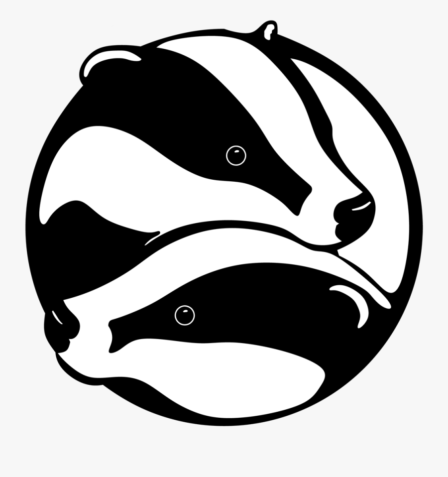 Buckinghamshire Badger Group - Badgers Png, Transparent Clipart
