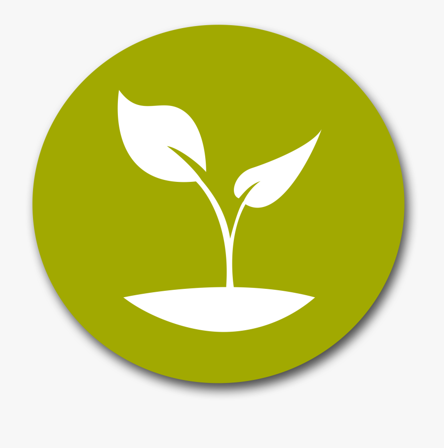 Grounded Growing Giving Emory Scholars, Transparent Clipart