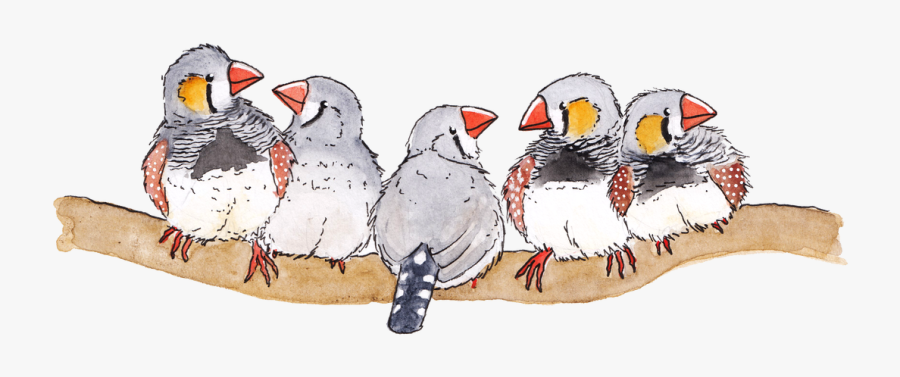 Picture - Cartoon, Transparent Clipart