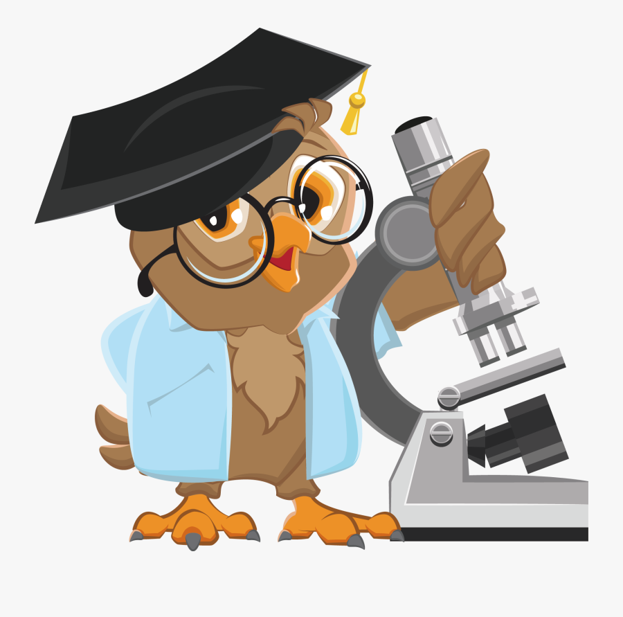 Teacher Little Owl Photography Illustration - Owl Professor, Transparent Clipart