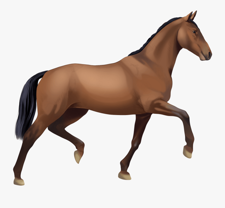 Bay Tobiano Kerry Bog Howrse, Transparent Clipart