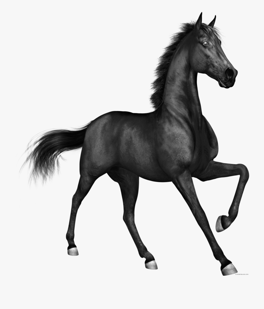 Horse Page Of Clipartblack Com Animal Free - Black Horse Png Hd, Transparent Clipart
