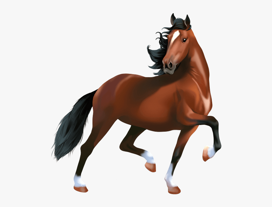 Sorrel, Transparent Clipart