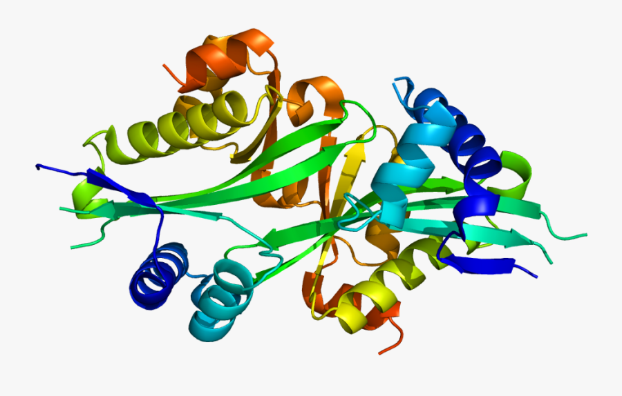 Protein Sat2 Pdb 2bei - Graphic Design, Transparent Clipart
