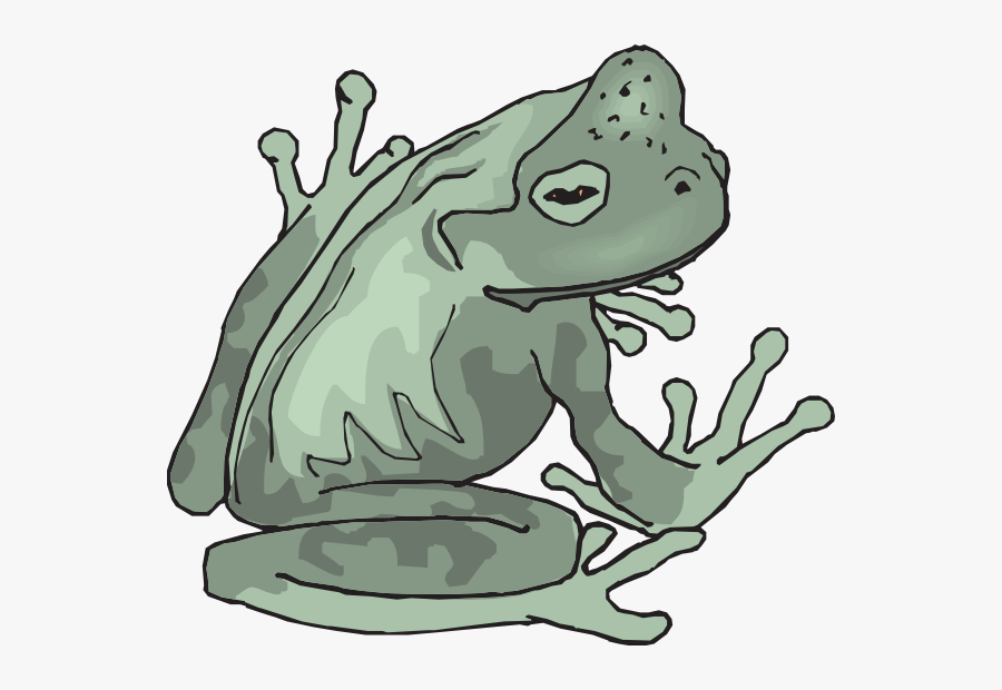 Realistic Frog Clip Art, Transparent Clipart
