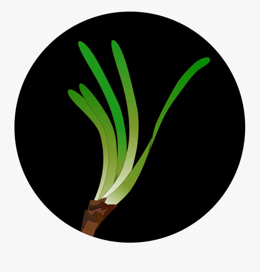 Frog Jumping Up And Down, Transparent Clipart