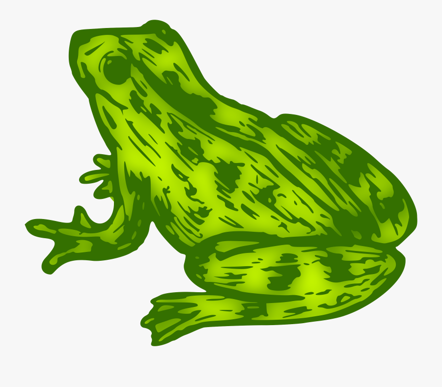 Colour Big Image Png - Frog, Transparent Clipart