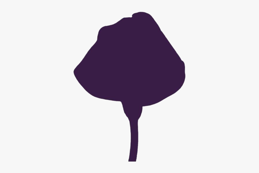 Calla Lily Png Clipart Image For Download, Transparent Clipart