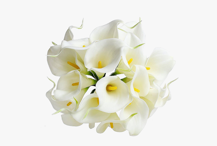 Calla Png Transparent Image - White Lily Transparent Background, Transparent Clipart