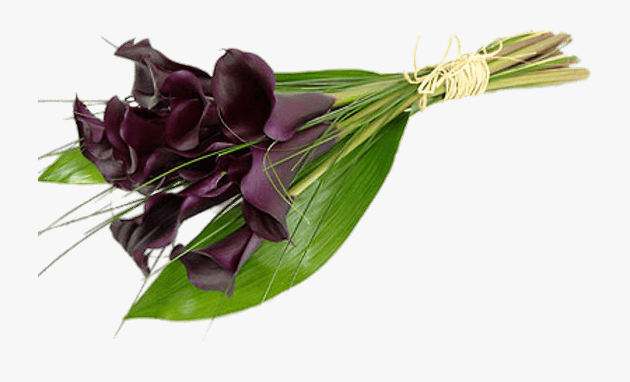 Tied Purple Calla Lilies - Black Calla Lilies, Transparent Clipart