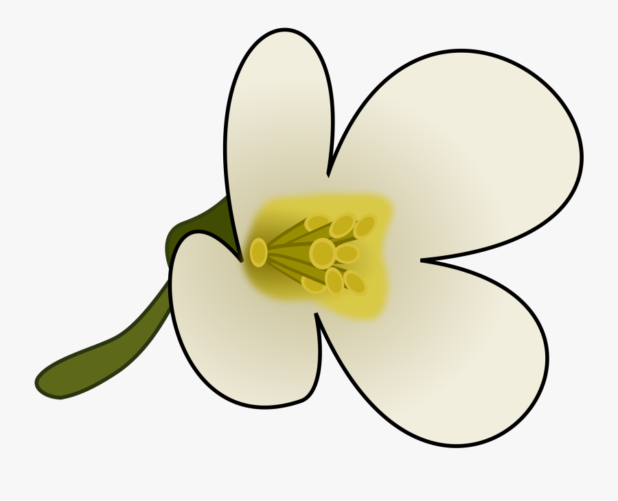 Clipart Flower With Pollen - Clip Art Of Pollen, Transparent Clipart