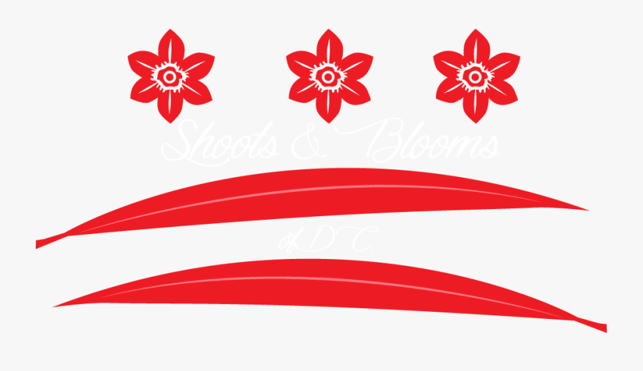 Shoots And Blooms Of D, Transparent Clipart