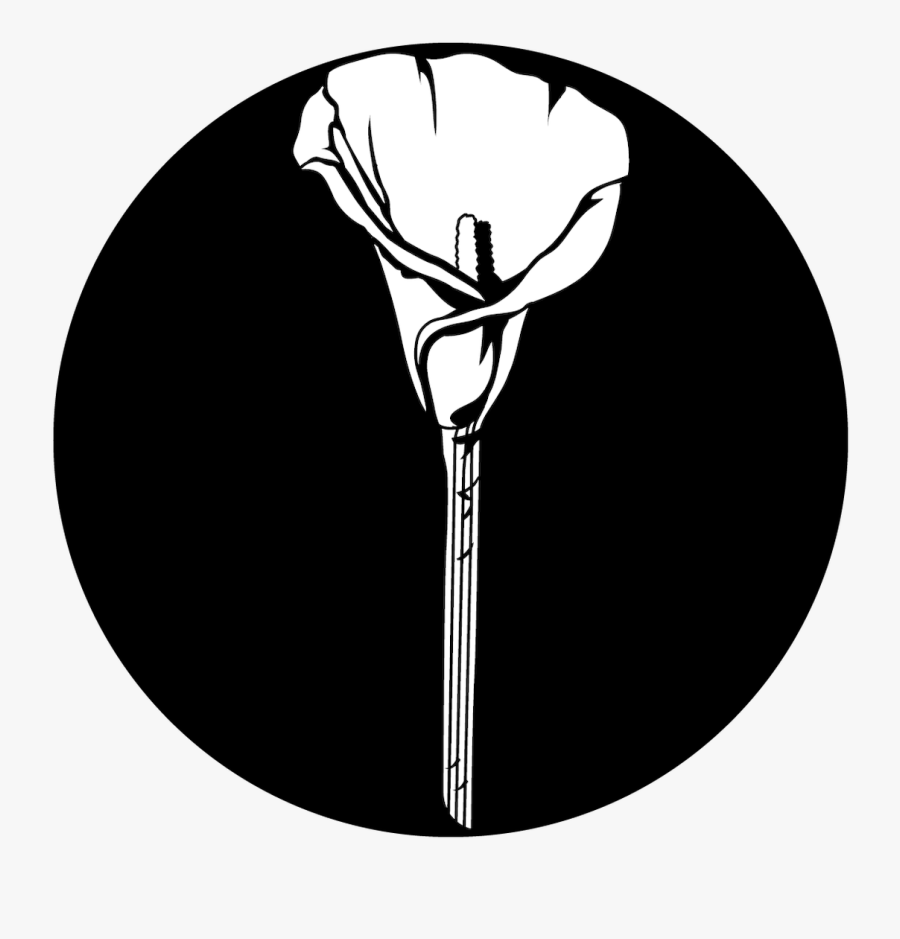 Apollo Design 1184 Lonely Calla Lily Steel Pattern - Illustration, Transparent Clipart