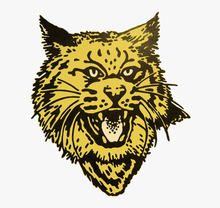 Illustration, Transparent Clipart