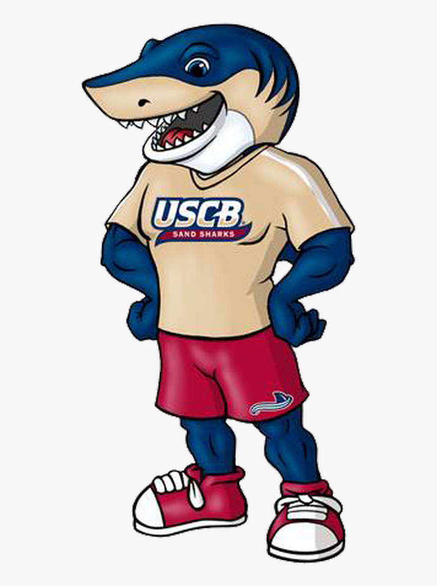 University Of South Carolina Beaufort Clipart , Png - University Of South Carolina Beaufort Mascot, Transparent Clipart