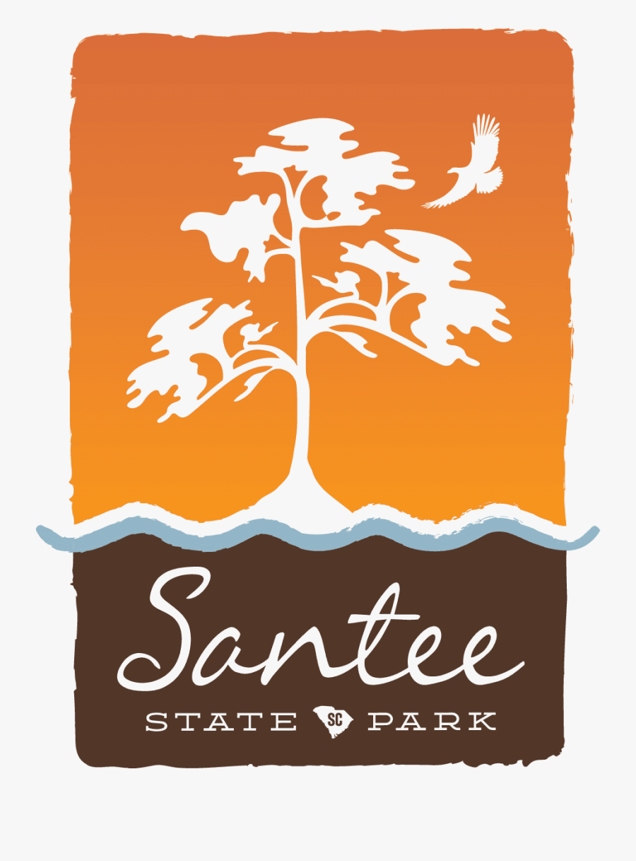 Santee South Carolina Parks - Tree, Transparent Clipart