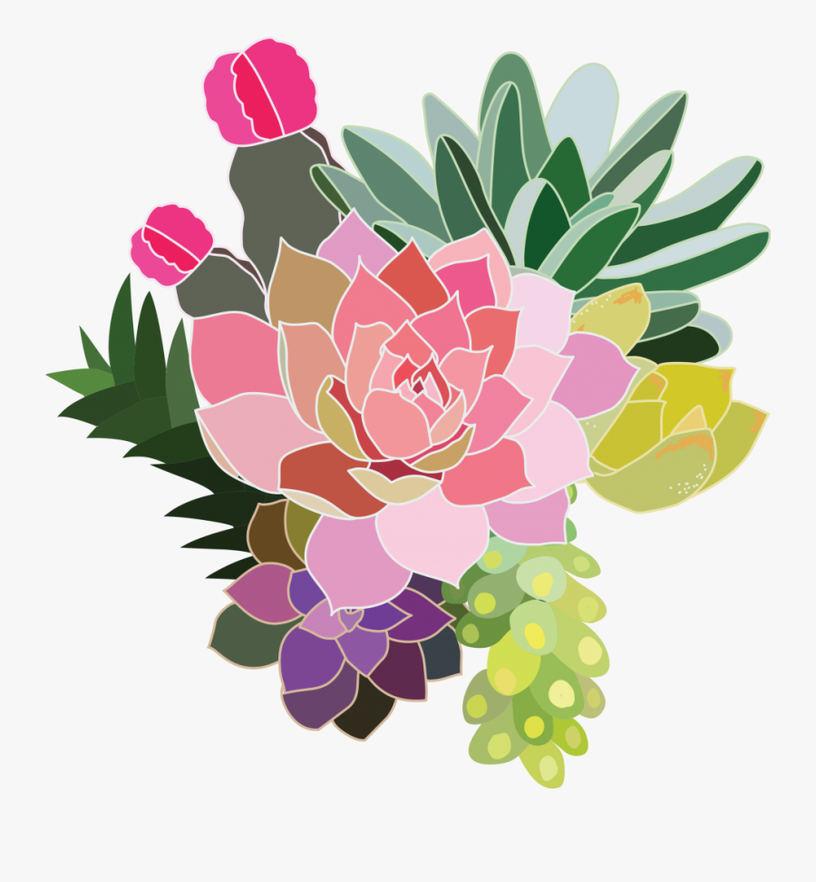 Succulent Plant, Transparent Clipart