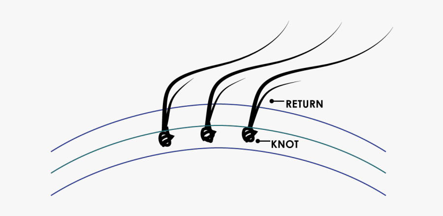 Line Art, Transparent Clipart