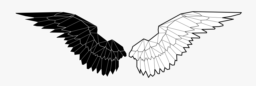 Skydivecollective Logo White Bg A3vett, Transparent Clipart