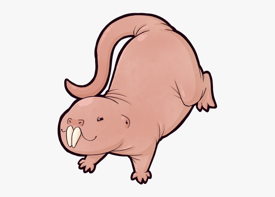 Naked Mole Rat Png, Transparent Clipart