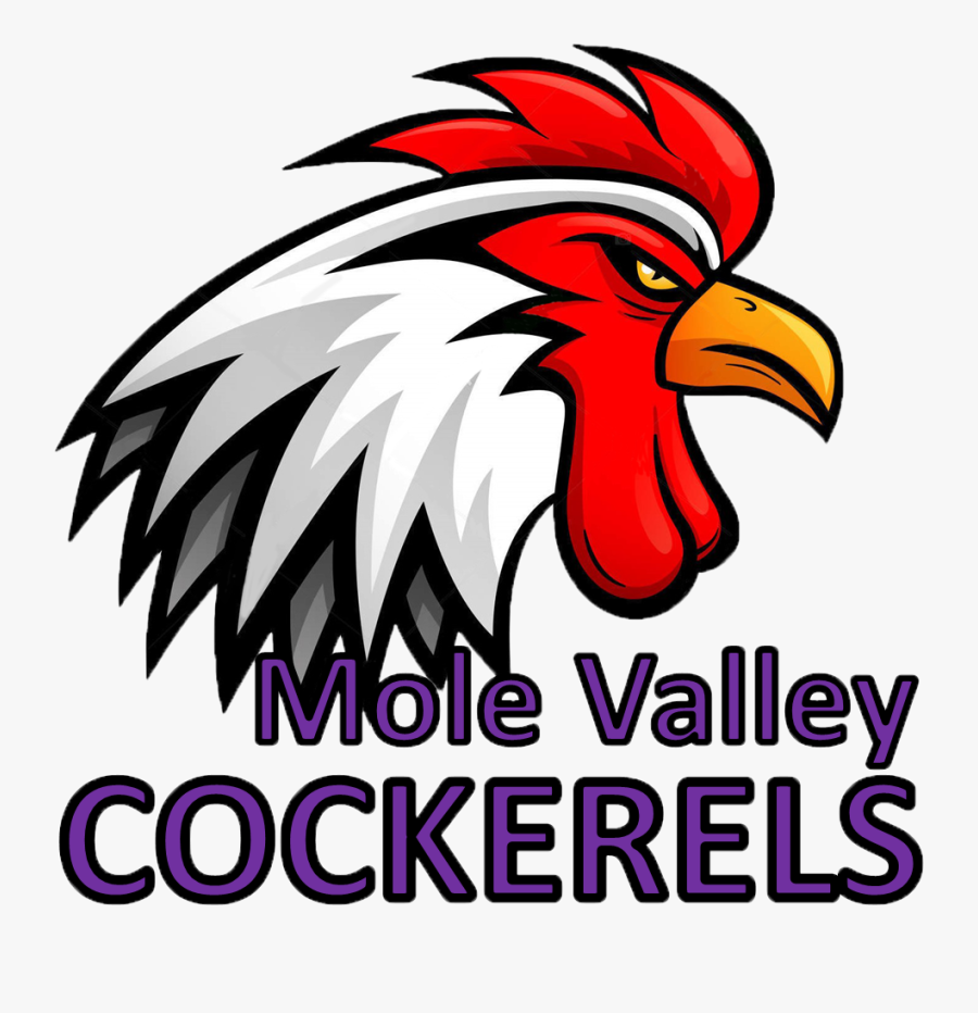 Rooster, Transparent Clipart