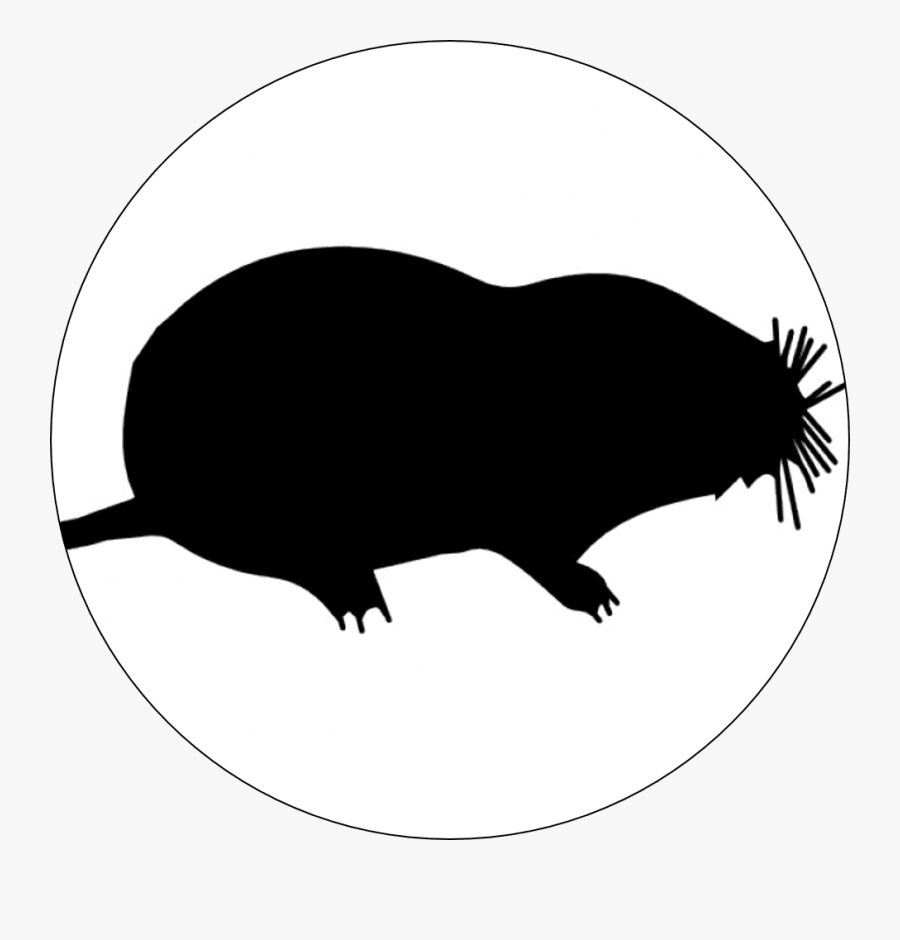 Mole Control Hampshire - Mole Icon, Transparent Clipart