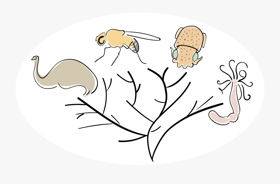 Mole Clip Art, Transparent Clipart