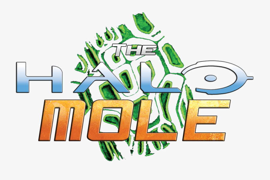 Graphic Design, Transparent Clipart