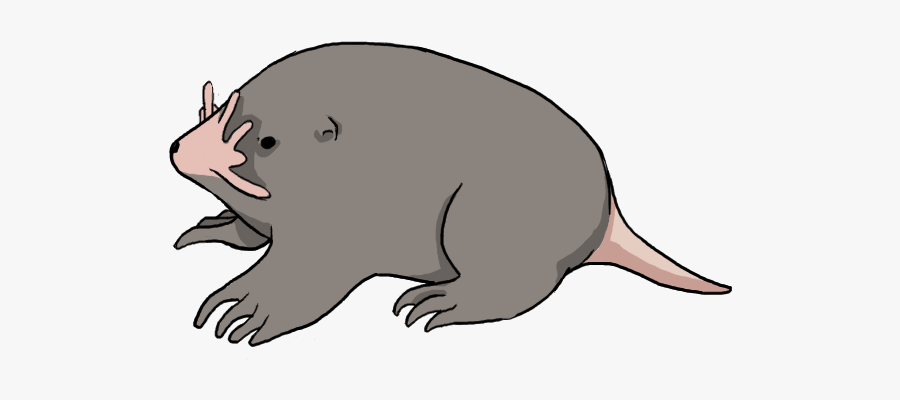 View Media - Pest, Transparent Clipart