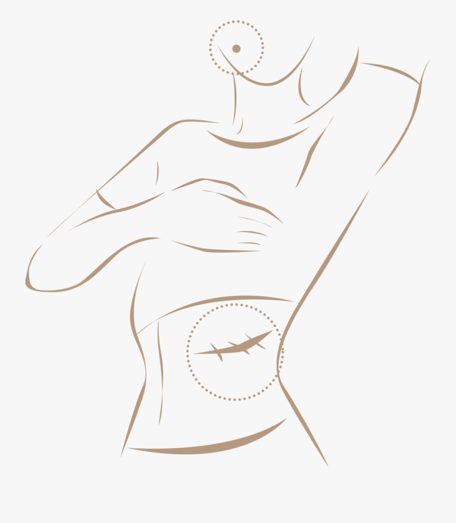 Sketch, Transparent Clipart