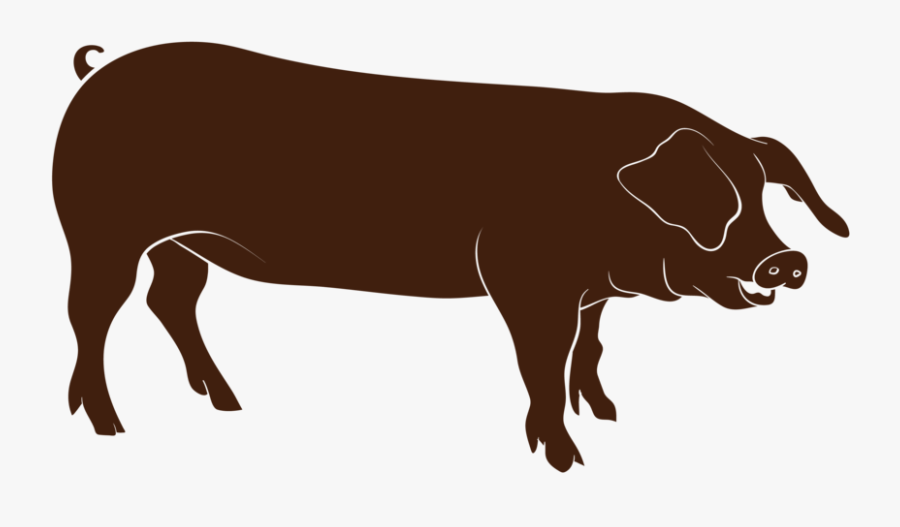 Roaster Pig-01, Transparent Clipart