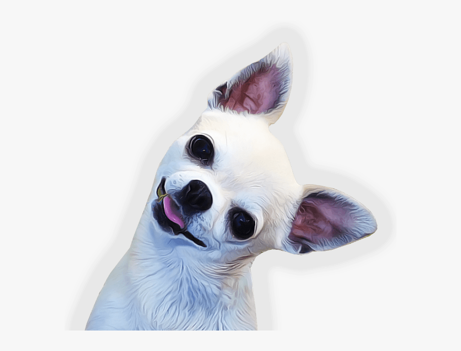Chihuahua Face Side - Chihuahua Png, Transparent Clipart
